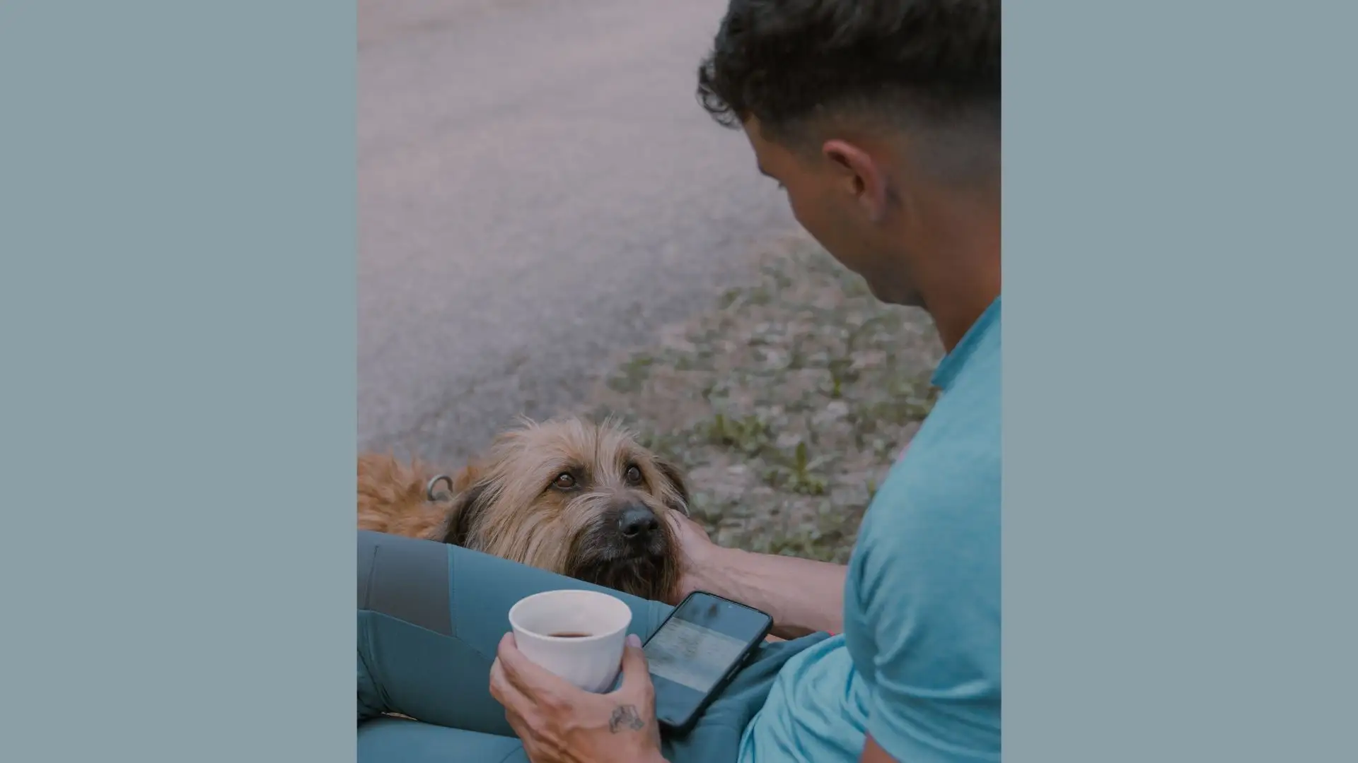 Educador canino en Valencia con perro reactivo