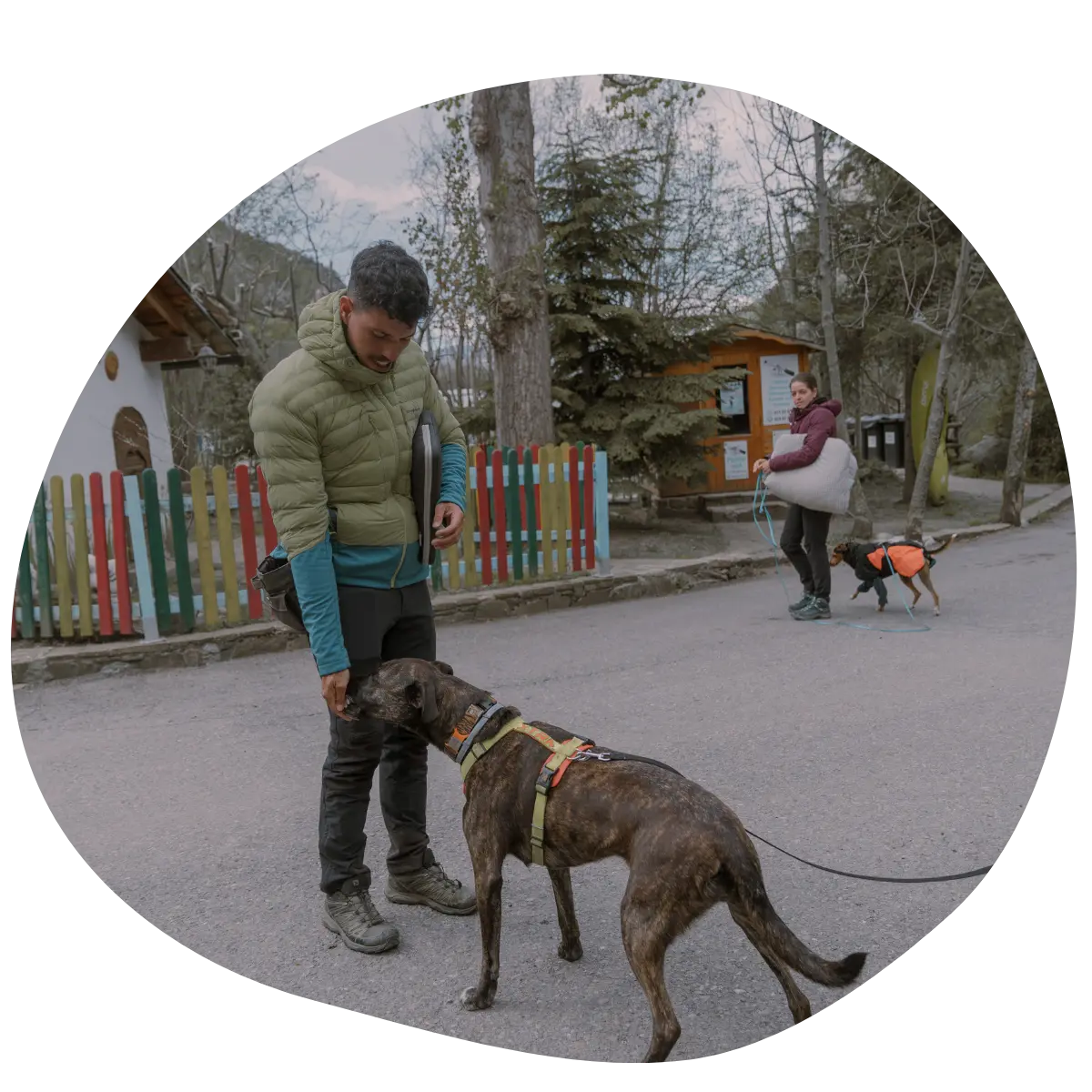 Educador canino en Valencia ayudando a perro inseguro